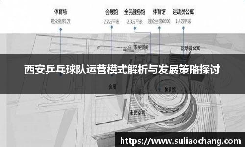 西安乒乓球队运营模式解析与发展策略探讨
